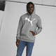 Chandail à capuche à logo Big Cat Homme
