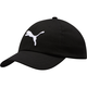 ESS Cap