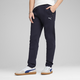 Evostripe Men's Pants