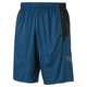 PUMA Cat Men's Shorts