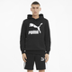 Classics Mens' Logo Hoodie