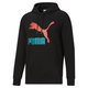 Classics Logo Men's Hoodie