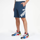 Big Logo Men's Shorts
