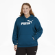Essentials Women's Logo Hoodie PL