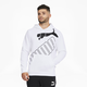 Big Logo Men's Hoodie