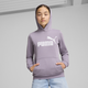 Essentials Logo Hoodie Big Kids