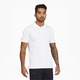 Porsche Design Men's Polo