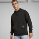 BMW M Motorsport Men's Graphic Hoodie