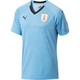 Uruguay Home Replica Jersey