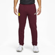 BVB ftblCULTURE Men's Track Pants