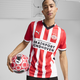 PSV Eindhoven 24/25 Men's Replica Home Soccer Jersey