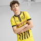 Borussia Dortmund 24/5 Cup Big Kids' Replica Soccer Jersey