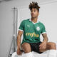 Palmeiras '24 Authentic Home Men's Jersey
