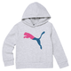 Modern Sports Little Kids' Fleece Hoodie
