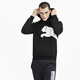 Big Logo Men's Fleece Hoodie