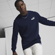 Essentials Small Logo Crew Neck Men's Sweatshirt