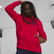Essentials Big Logo Men's Hoodie