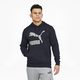 Classics Logo Men's Hoodie
