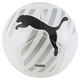 Big Cat Soccer Ball