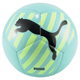 Big Cat Soccer Ball