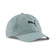 PUMA Maverick Adjustable Dad Cap
