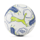 PUMA x CHRISTIAN PULISIC Cat Soccer Ball
