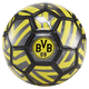 Borussia Dortmund Mini Fan Soccer Ball