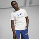 BMW M Motorsport ESS Logo Men's Tee