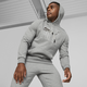 ESS+ Logo Lab Men's Hoodie