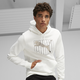 ESS+ Logo Lab Men's Hoodie
