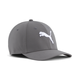 PUMA Hemlock Stretch Fit Cap