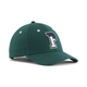 PUMA Finch Curved Adjustable Cap