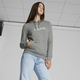 PUMA Iridescent Women's Hoodie