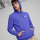 Essentials Logo Men's Hoodie