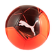 PUMA Big Cat Football