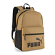 Step Up Backpack