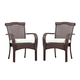 South Sea Outdoor Martinique Dining Arm Chair (Set of 2) 75221 CODE:UNIV10 for 10% Off