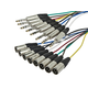 Monoprice 1 Meter (3ft) 8-Channel 1/4inch TRS Male to XLR Male Snake Cable Monoprice 1 Meter (3ft) 8-Channel 1/4inch TRS Male to XLR Male Snake Cable