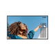 SHARP 50 4K DISPLAY BRIGHT 700 CD/M2 FLEXIBLE INSTALLATION 24/7OPERATION