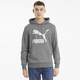 Classics Mens' Logo Hoodie