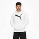 Big Cat Men's Logo Hoodie