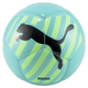 Big Cat Mini Soccer Ball
