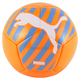 Big Cat Mini Soccer Ball