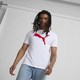 Essentials Big Cat Men's Tee