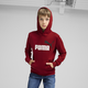 Essentials+ Two-Tone Big Logo Hoodie Big Kids