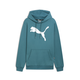 Big Cat Men's Logo Hoodie