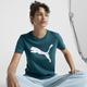 Essentials Big Cat Logo Women's Tee