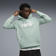 PUMA Essentials Men's Hoodie