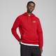 PUMA Essentials Men's Small Logo Hoodie