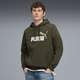 PUMA Logo Essentials Men's Hoodie